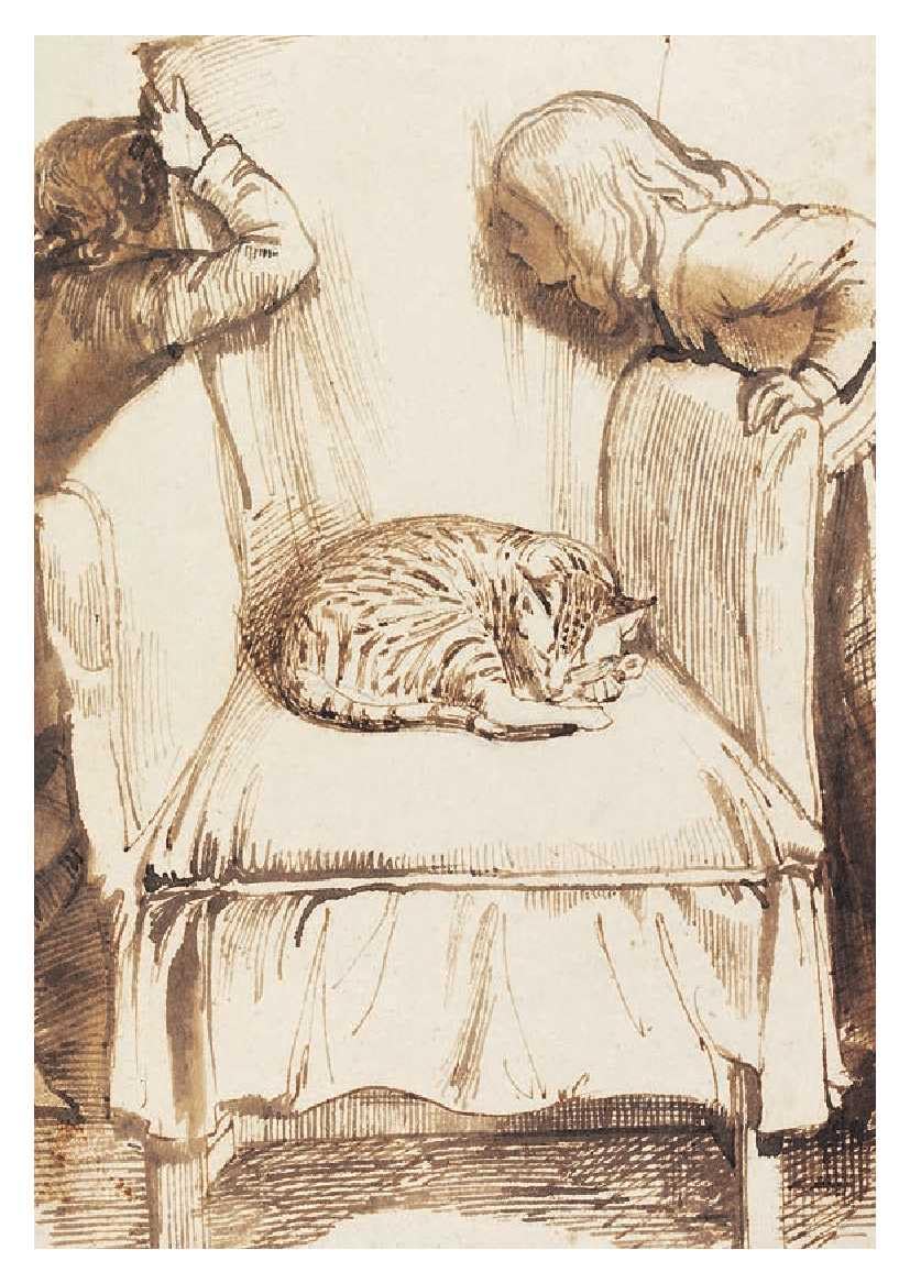 Cats: 50 Postcards