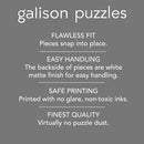 Gray Malin Cinque Terre – 1000 Piece Book Puzzle