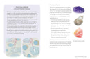 The Pocket Crystal Chakra Healer