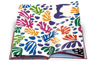 Matisse: The Bigger Picture