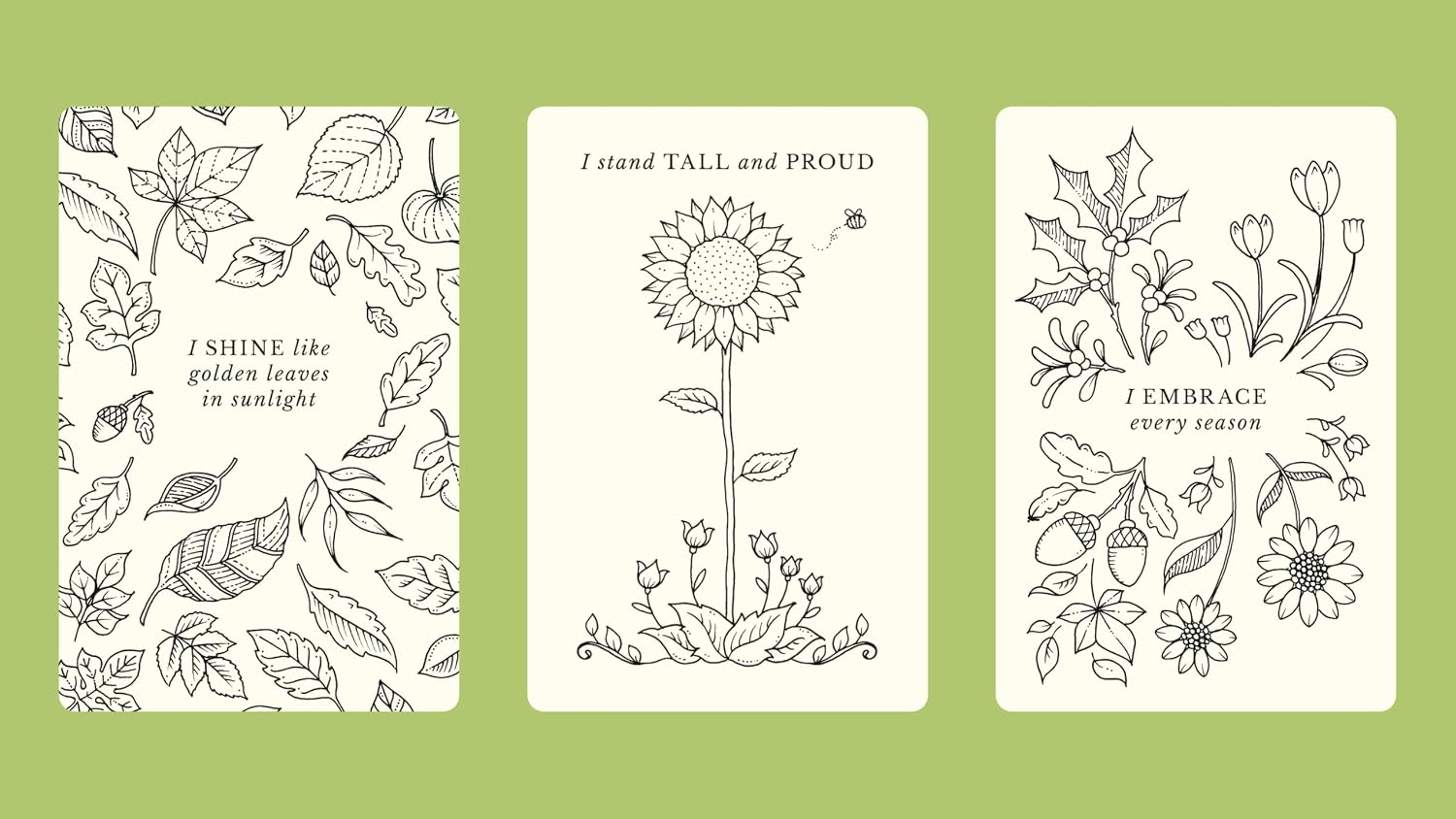 Johanna Basford's Notes from Nature: 30 Affirmation Cards to Colour