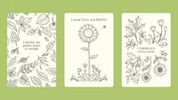 Johanna Basford's Notes from Nature: 30 Affirmation Cards to Colour