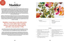 Plant and Ink: Make Your Own Plant-based Ink