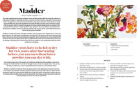 Plant and Ink: Make Your Own Plant-based Ink