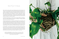 House of Plants: Living with tropical plants, succulents and cacti