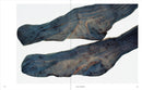 Ishiuchi Miyako: Traces