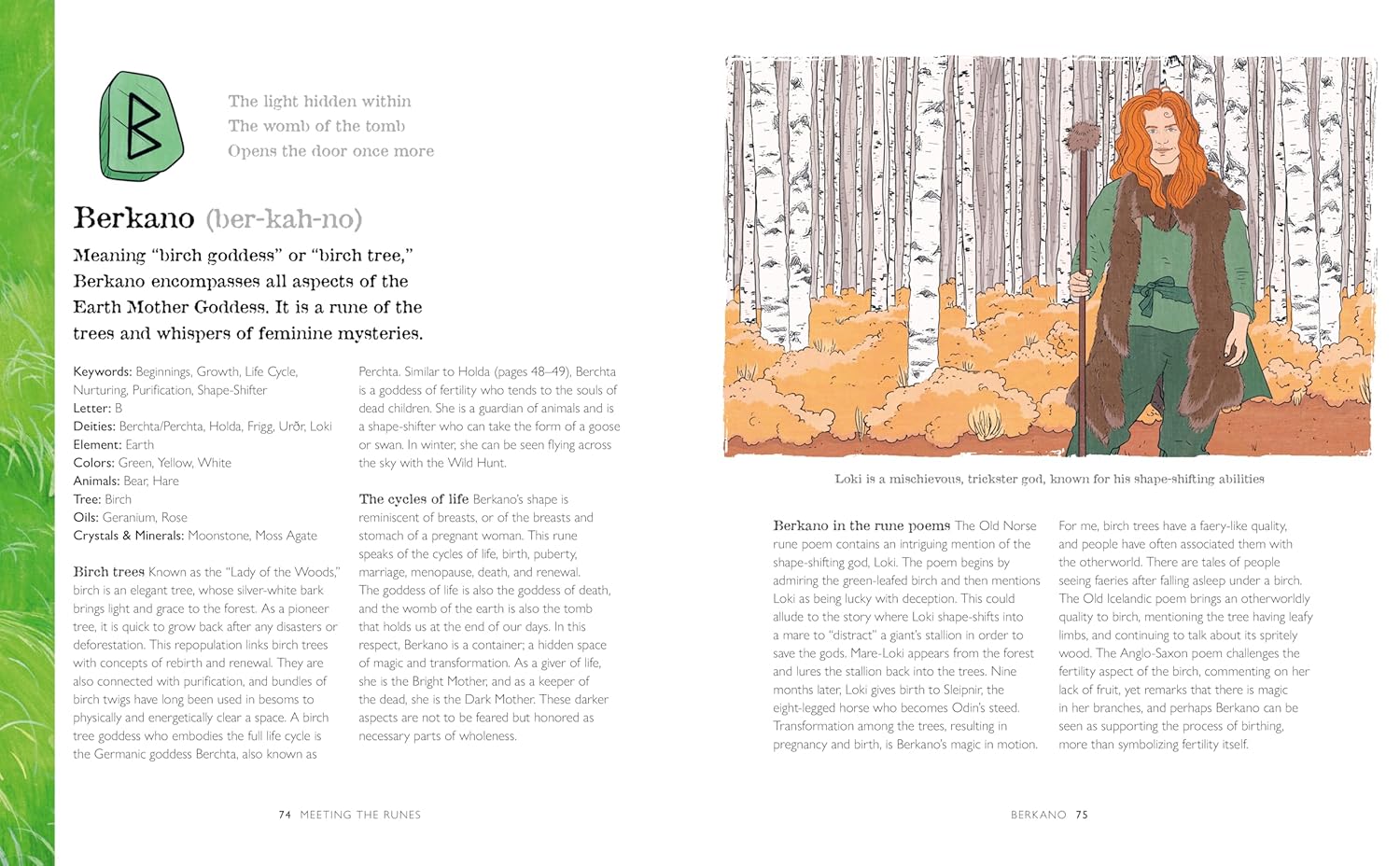 A Guide to Reading the Runes: Harness the wisdom and power of the ancient Norse symbols