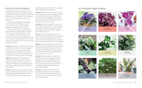 Mindful Living: A guide to the everyday magic of feng shui