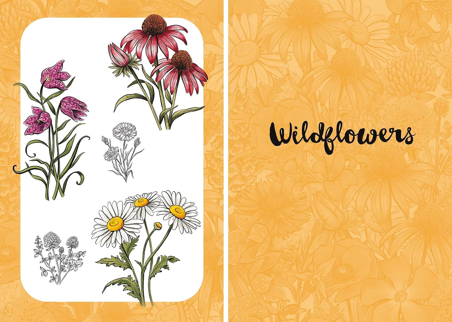 10 Step Drawing: Botanicals: Draw over 50 plants in 10 easy steps