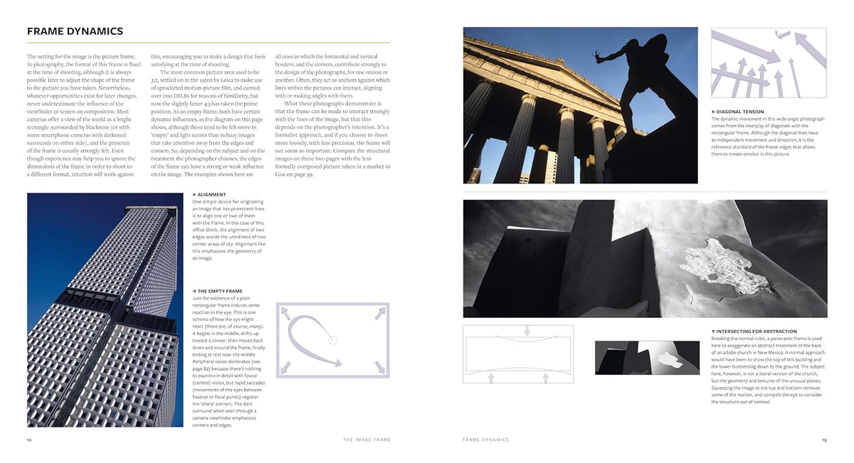 The Photographer's Eye (Definitive Edition): Composition and Design for Better Photos