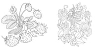 Magical Nature: Colouring Book
