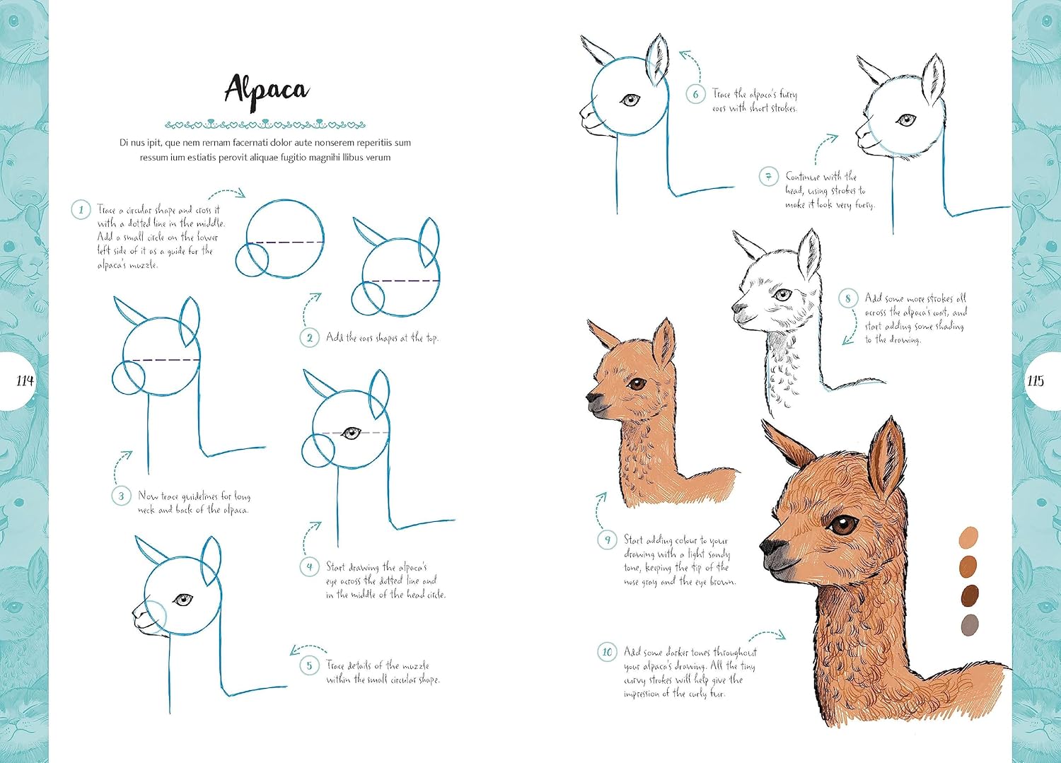 10 Step Drawing: Cute Animals: Draw over 50 adorable animals in 10 easy steps