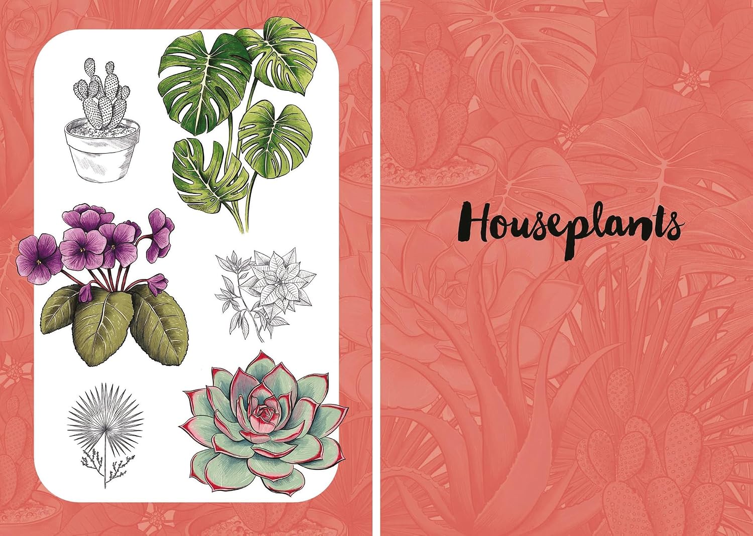 10 Step Drawing: Botanicals: Draw over 50 plants in 10 easy steps