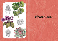 10 Step Drawing: Botanicals: Draw over 50 plants in 10 easy steps