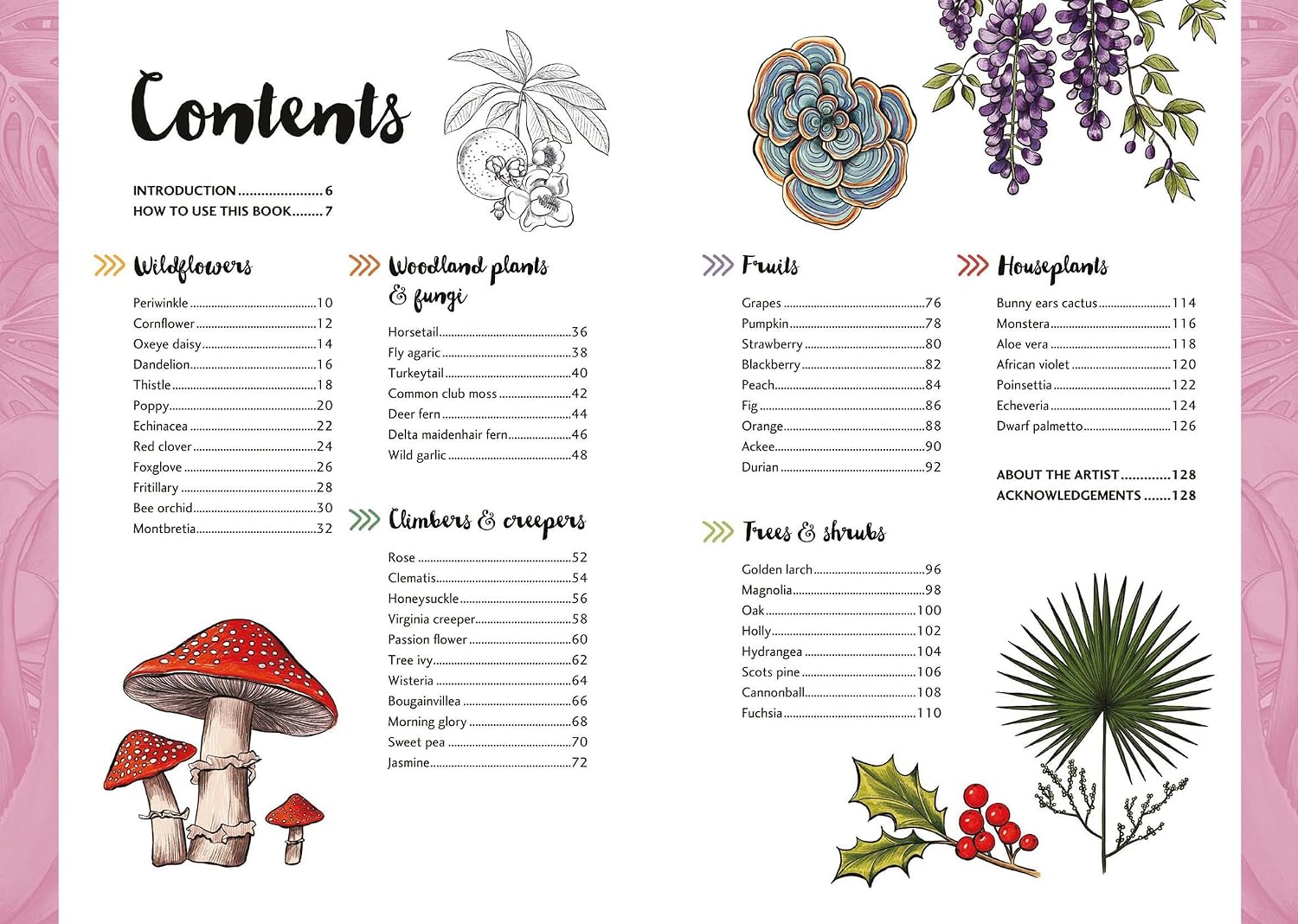 10 Step Drawing: Botanicals: Draw over 50 plants in 10 easy steps