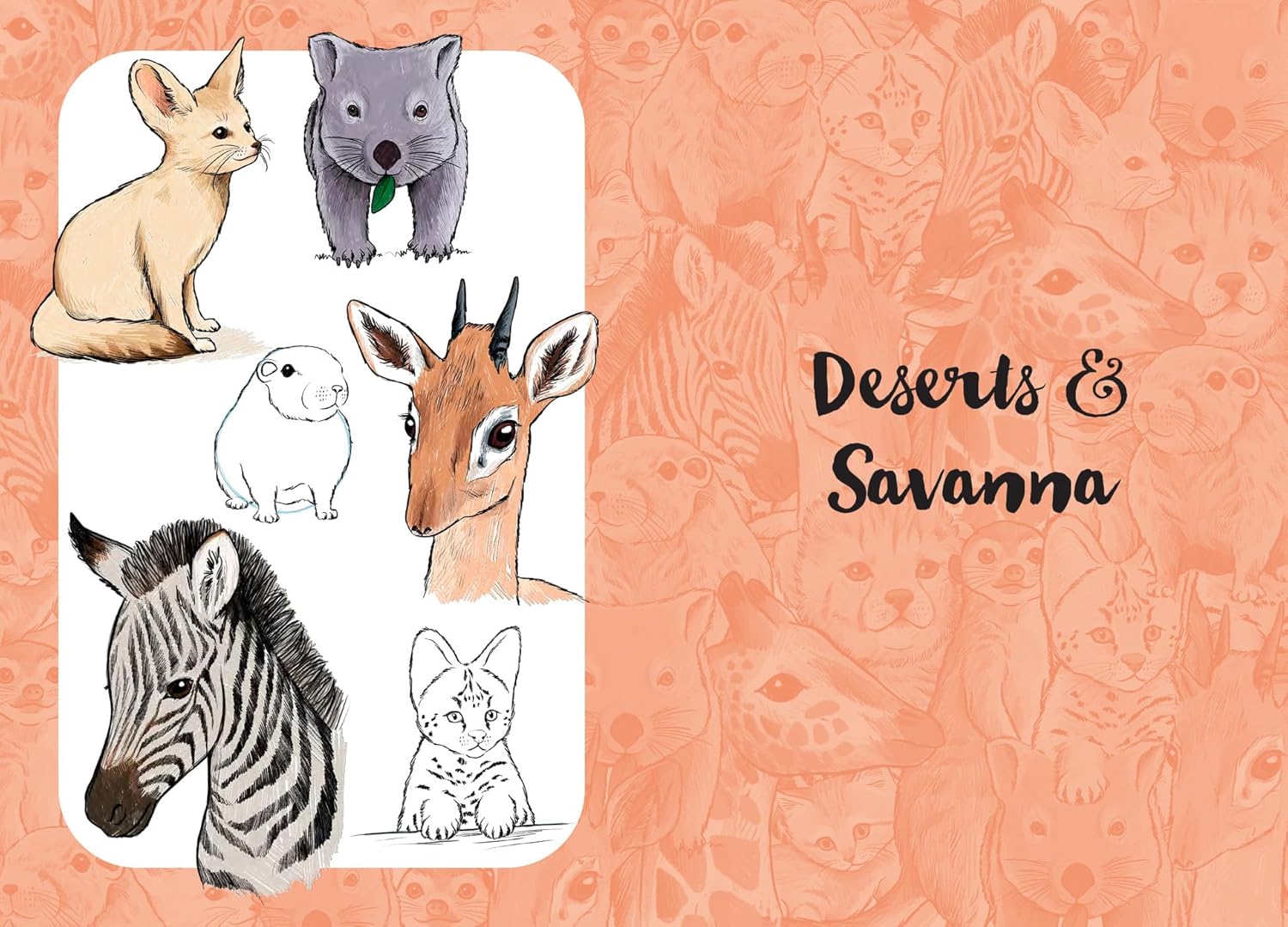 10 Step Drawing: Cute Animals: Draw over 50 adorable animals in 10 easy steps