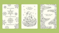 Johanna Basford's Notes from Nature: 30 Affirmation Cards to Colour