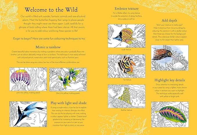 Return of the Wild Colouring Book