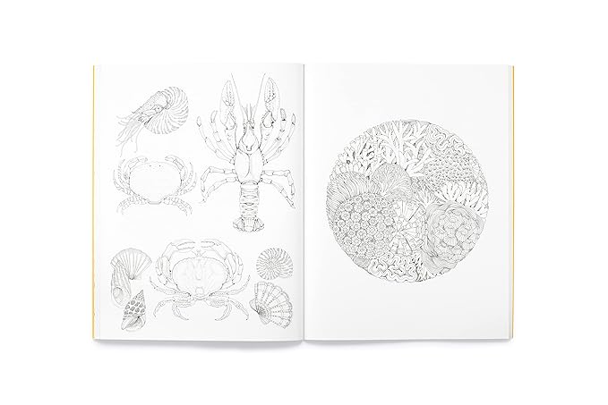 Leila Duly's Beautiful Planet
