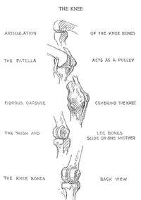 The Human Machine