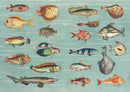 The Curious Collections Sticker Book