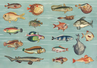 The Curious Collections Sticker Book