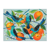 Geninne Zlatkis Naranjas: 1000 Piece Puzzle