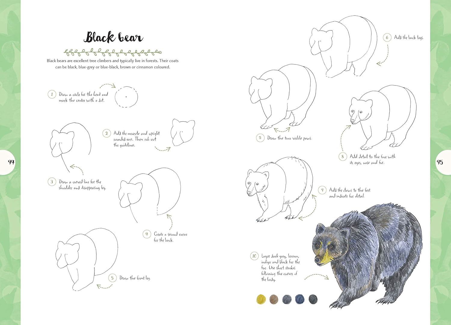 10 Step Drawing: Nature: Draw 60 plants & animals in 10 easy steps