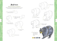 10 Step Drawing: Nature: Draw 60 plants & animals in 10 easy steps
