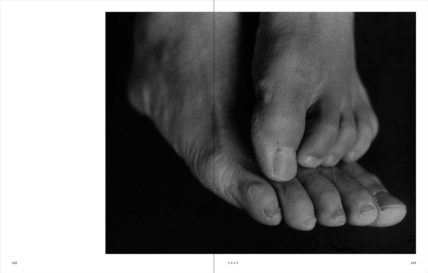 Ishiuchi Miyako: Traces
