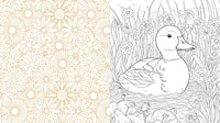 Spring is Here! A Coloring Book: Color the Season of Beautiful Blooms and Beginnings - Over 100 Pages to Color
