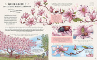 Slow Down and Be Here Now: More Nature Stories to Make You Stop, Look and Be Amazed by the Tiniest Things