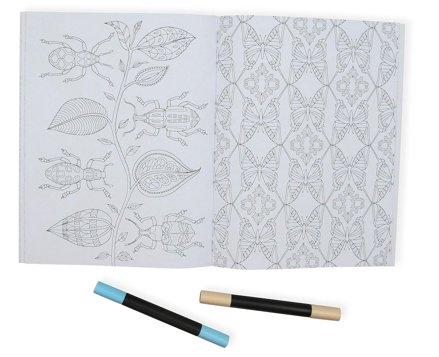Wonderful Insects Colouring Book