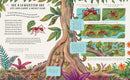 Slow Down and Be Here Now: More Nature Stories to Make You Stop, Look and Be Amazed by the Tiniest Things