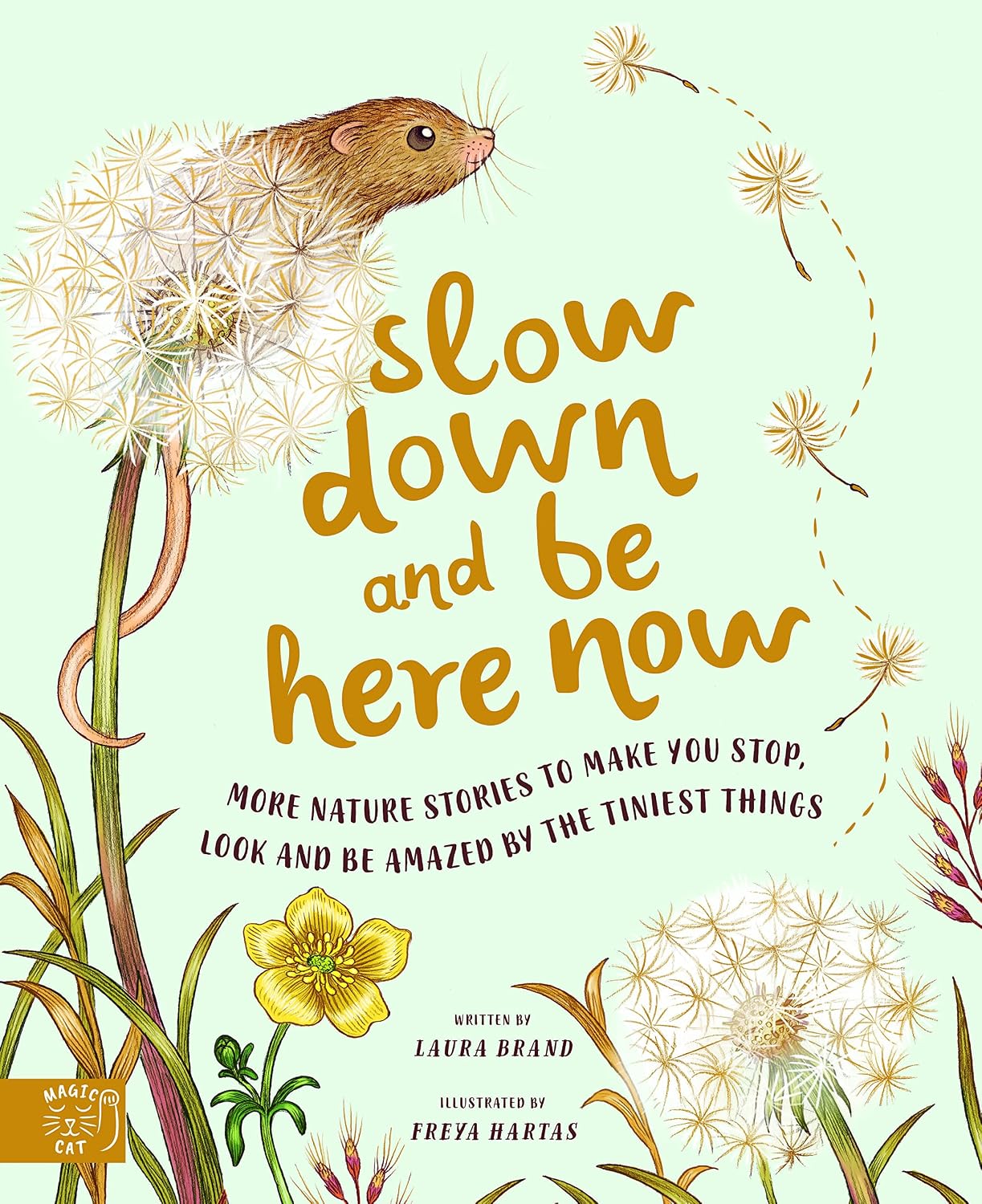 Slow Down and Be Here Now: More Nature Stories to Make You Stop, Look and Be Amazed by the Tiniest Things