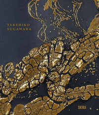 Takehiko Sugawara: Eclectic Japanese Art