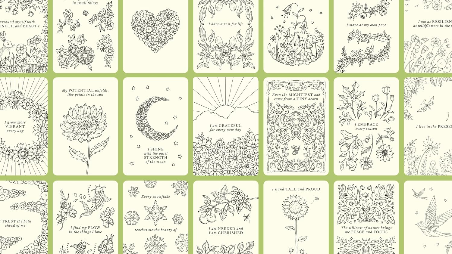 Johanna Basford's Notes from Nature: 30 Affirmation Cards to Colour