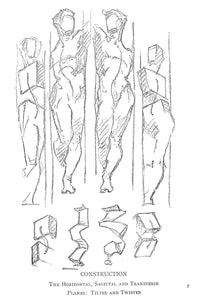 Constructive Anatomy: With Almost 500 Illustrations