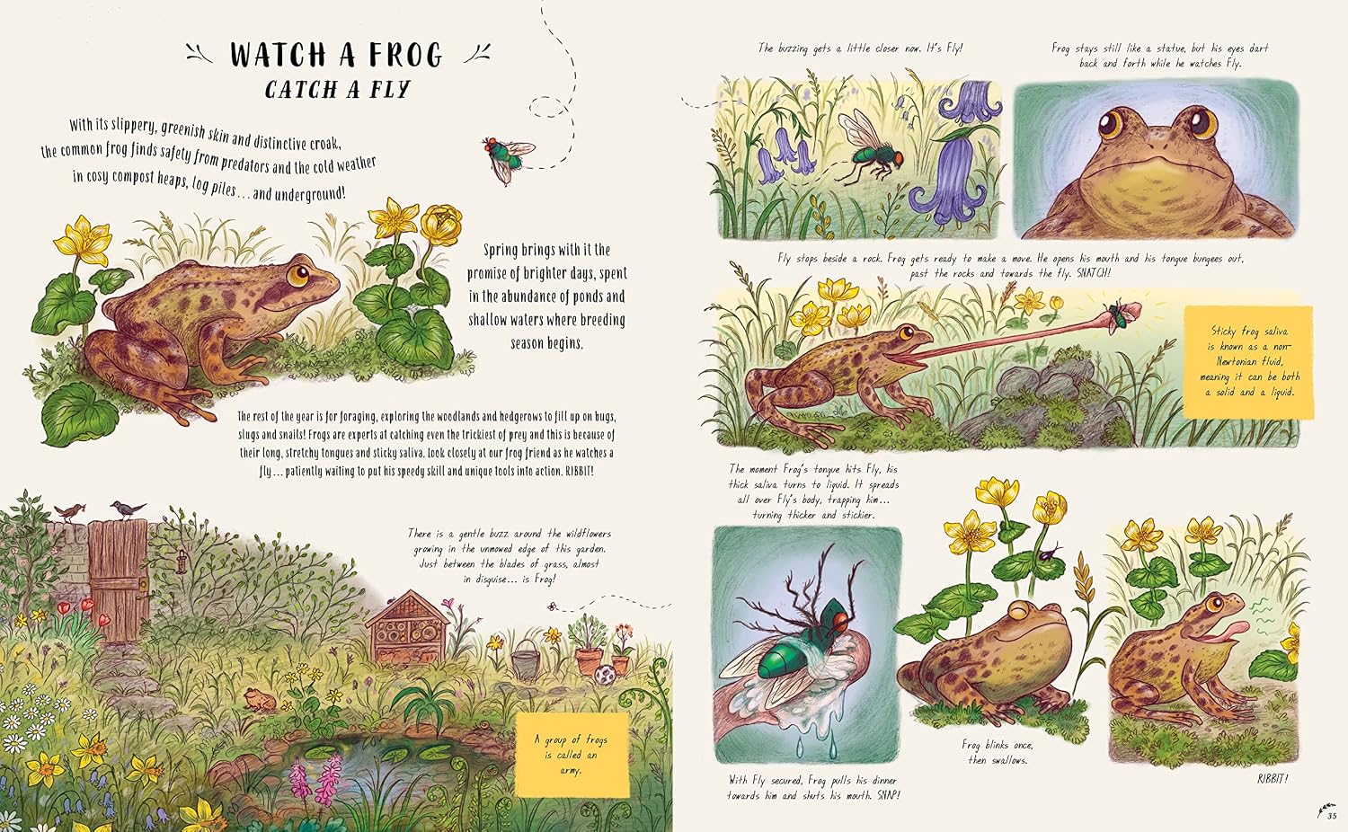 Slow Down and Be Here Now: More Nature Stories to Make You Stop, Look and Be Amazed by the Tiniest Things