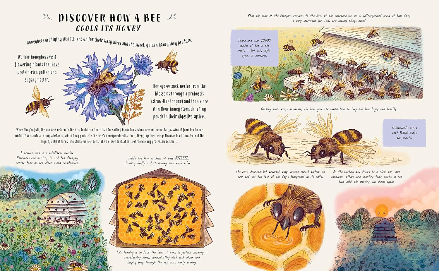 Slow Down and Be Here Now: More Nature Stories to Make You Stop, Look and Be Amazed by the Tiniest Things