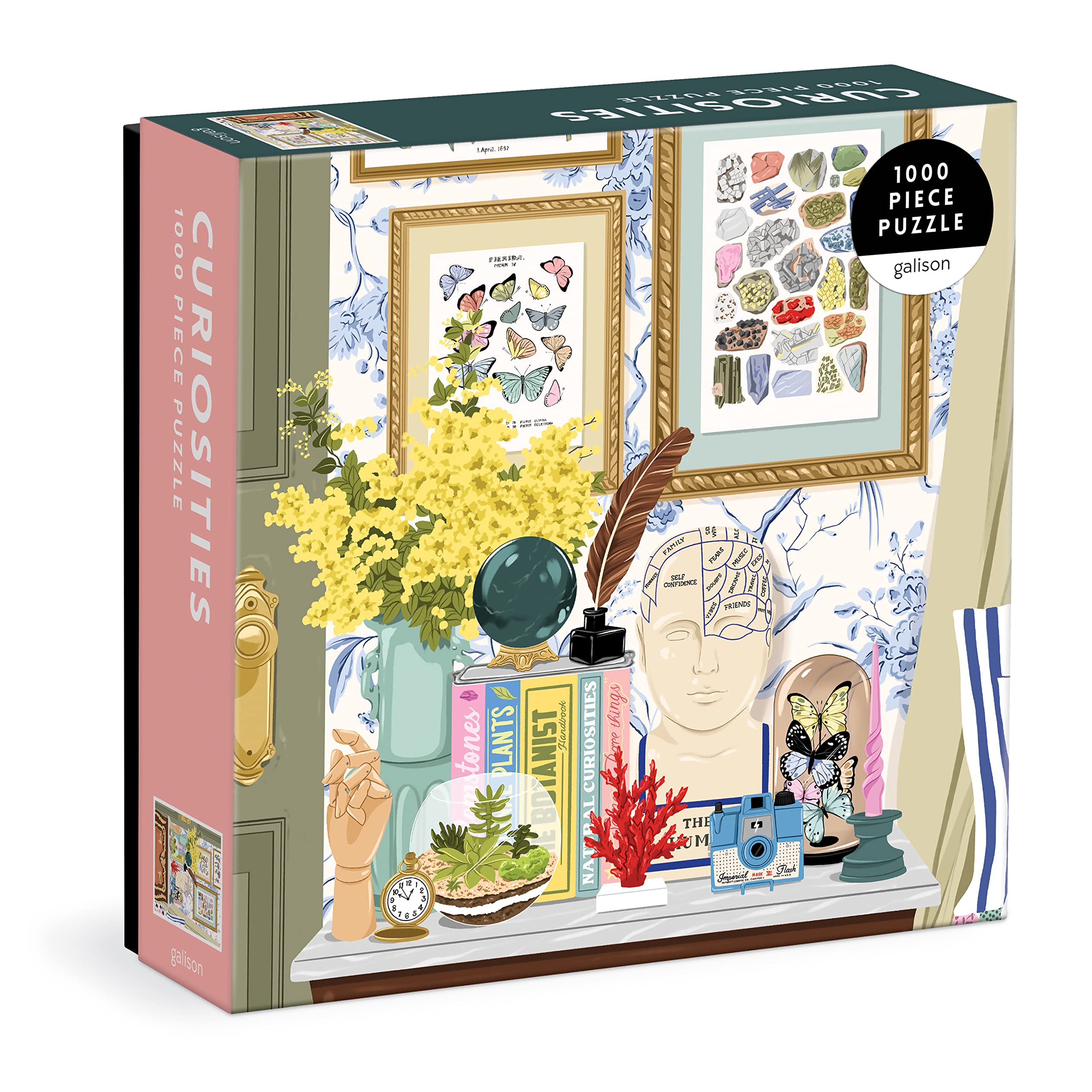 Curiosities Square Jigsaw Puzzle 1000 Pieces