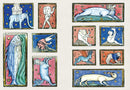Crazy Medieval Dudes: A Little Sticker Book