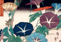 Japanese Flowers: A Little Sticker Book
