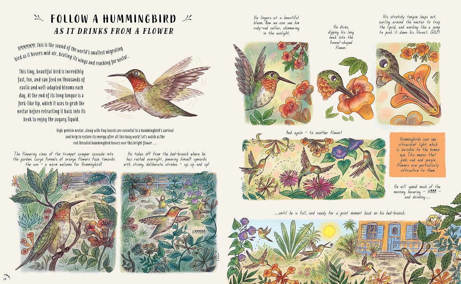 Slow Down and Be Here Now: More Nature Stories to Make You Stop, Look and Be Amazed by the Tiniest Things