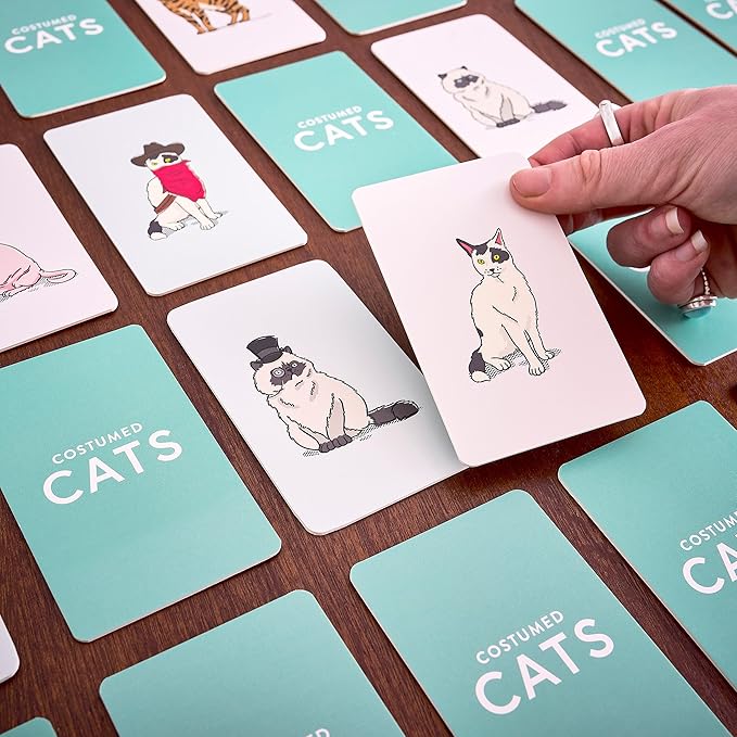 Costumed Cats Memory Card Game