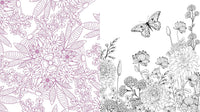Spring is Here! A Coloring Book: Color the Season of Beautiful Blooms and Beginnings - Over 100 Pages to Color