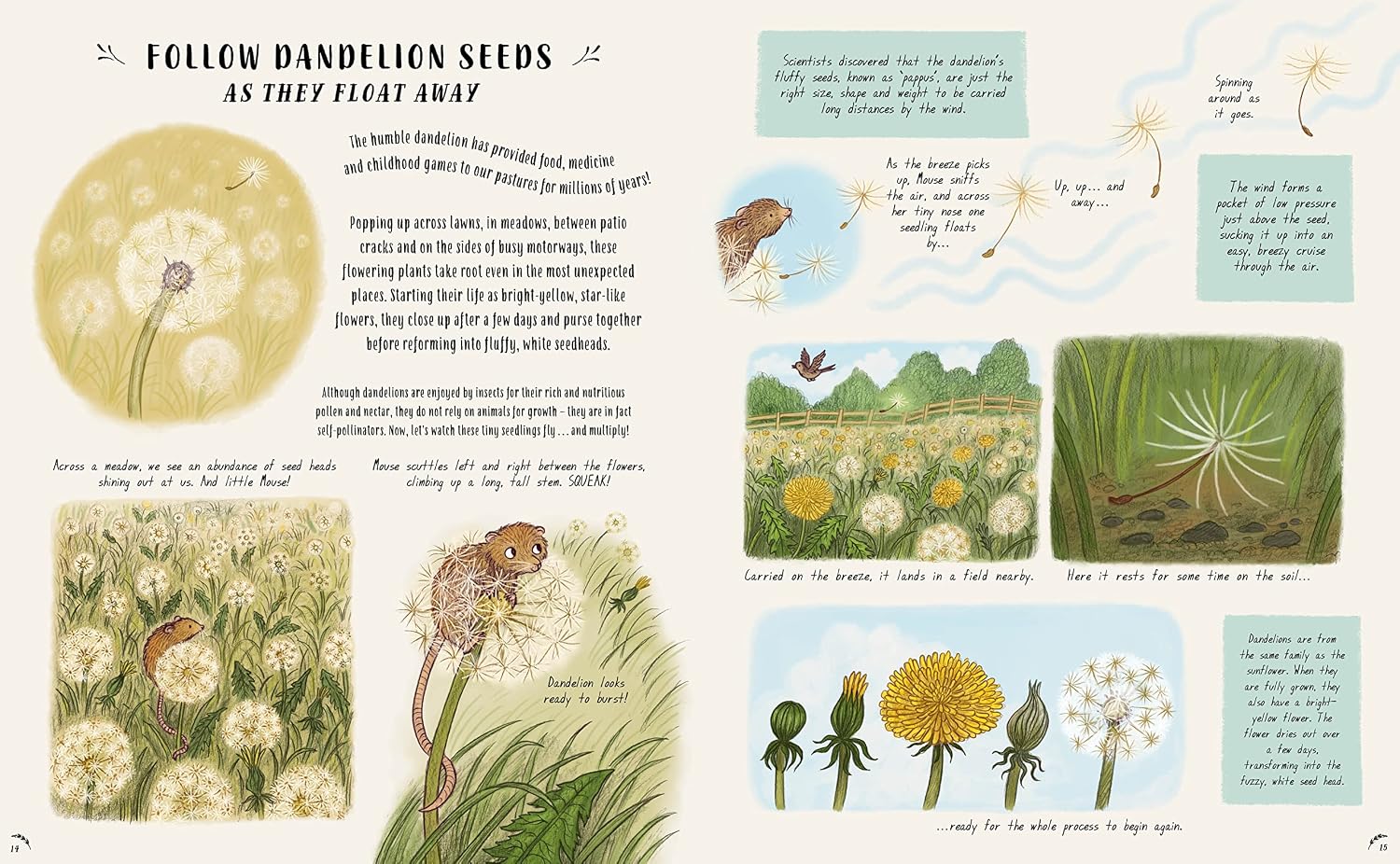 Slow Down and Be Here Now: More Nature Stories to Make You Stop, Look and Be Amazed by the Tiniest Things