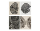 Woodcut Notecards: Notecards in box