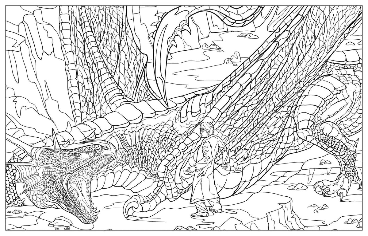 Harry Potter: Magical Creatures Coloring Book