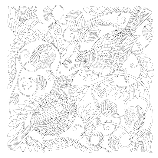Millie Marotta's Beautiful Birds and Treetop Treasures
